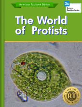 The World of Protists