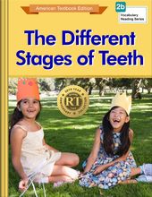 The Different Stages of Teeth