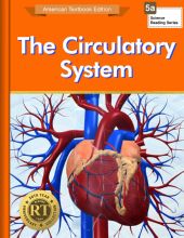 The Circulatory System