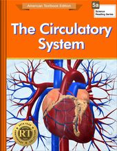 The Circulatory System