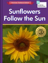 Sunflowers Follow the Sun