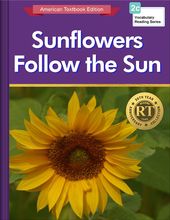 Sunflowers Follow the Sun