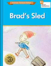 Brad`s Sled