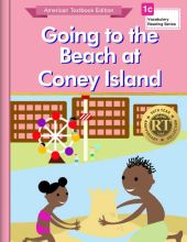 Going to the Beach at Coney Island