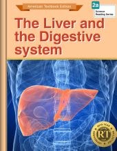 The Liver and the Digestive System