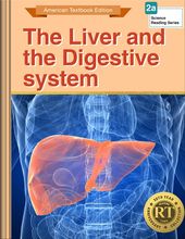 The Liver and the Digestive system
