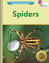 Spiders