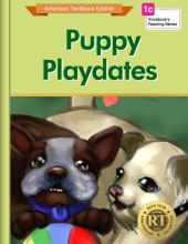 Puppy Playdates