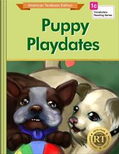 Puppy Playdates