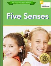 Five Senses
