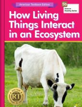 How Living Things Interact in an Ecosystem