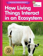 How Living Things Interact in an Ecosystem