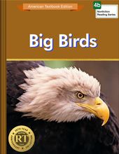 Big Birds